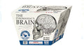 The Pyromaniacs Brain 24 Shot