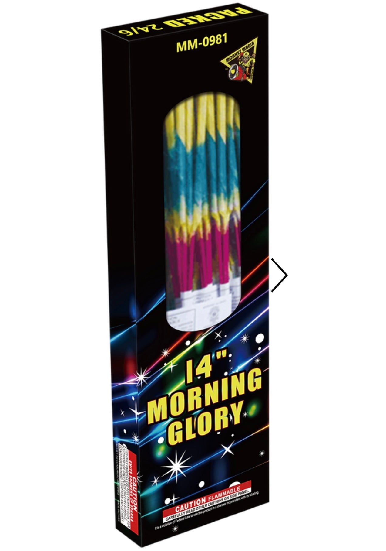 14” Morning Glory